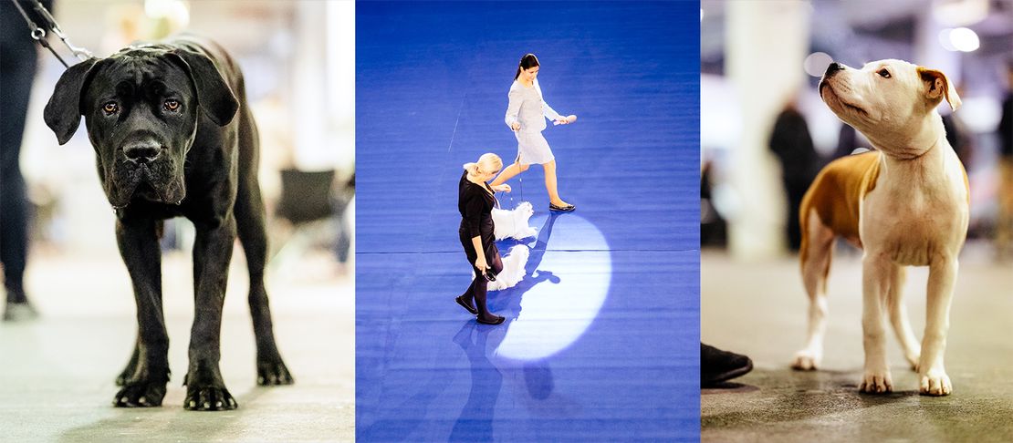 Zagreb Winter Classic 2025 - 2. dan - natjecanje